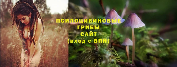 марки lsd Алзамай