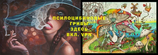 ALPHA-PVP Алексеевка