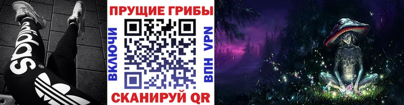 Псилоцибиновые грибы мухоморы  где купить наркотик  Одинцово 