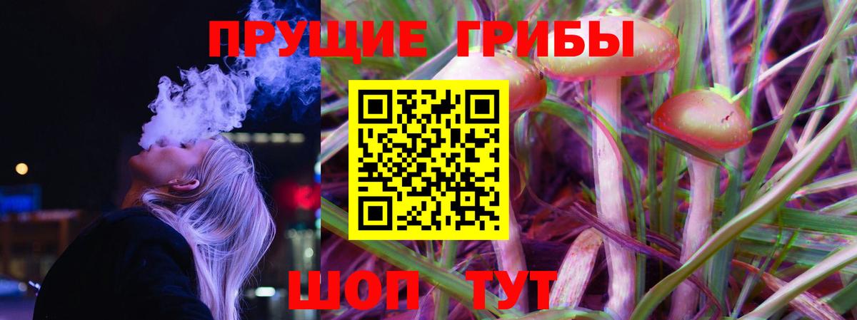 Псилоцибиновые грибы Psilocybe  Вход с VPN  как найти закладки  Одинцово 