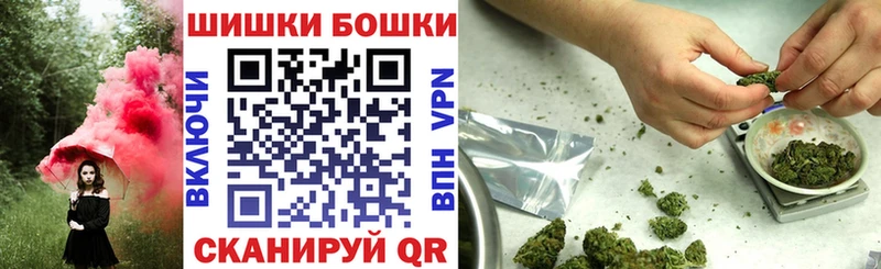 закладка Одинцово Конопля гибрид